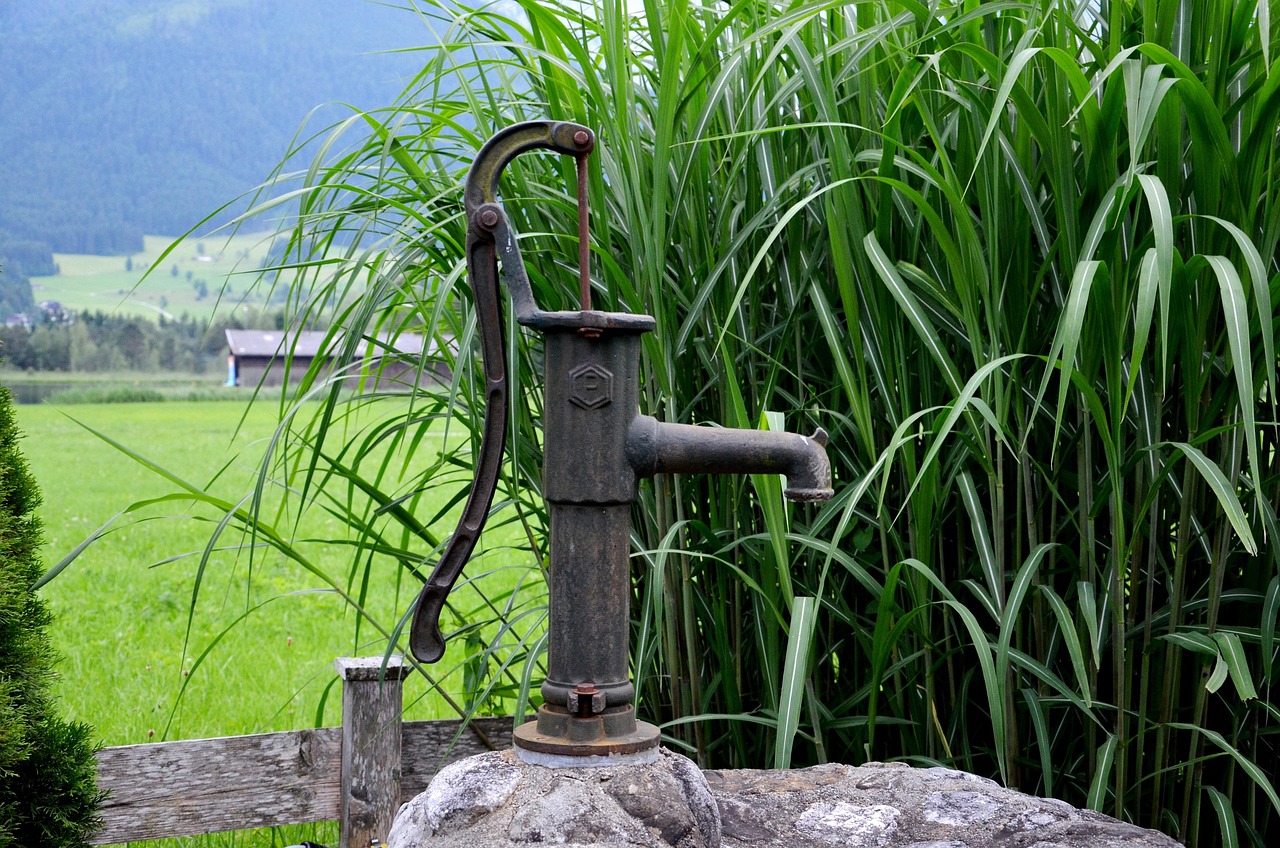 Come si usa la pompa d’irrigazione manuale per un giardino perfetto