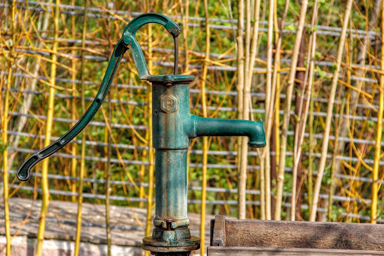 Funziona veramente la pompa d’irrigazione manuale? Ecco le opinioni
